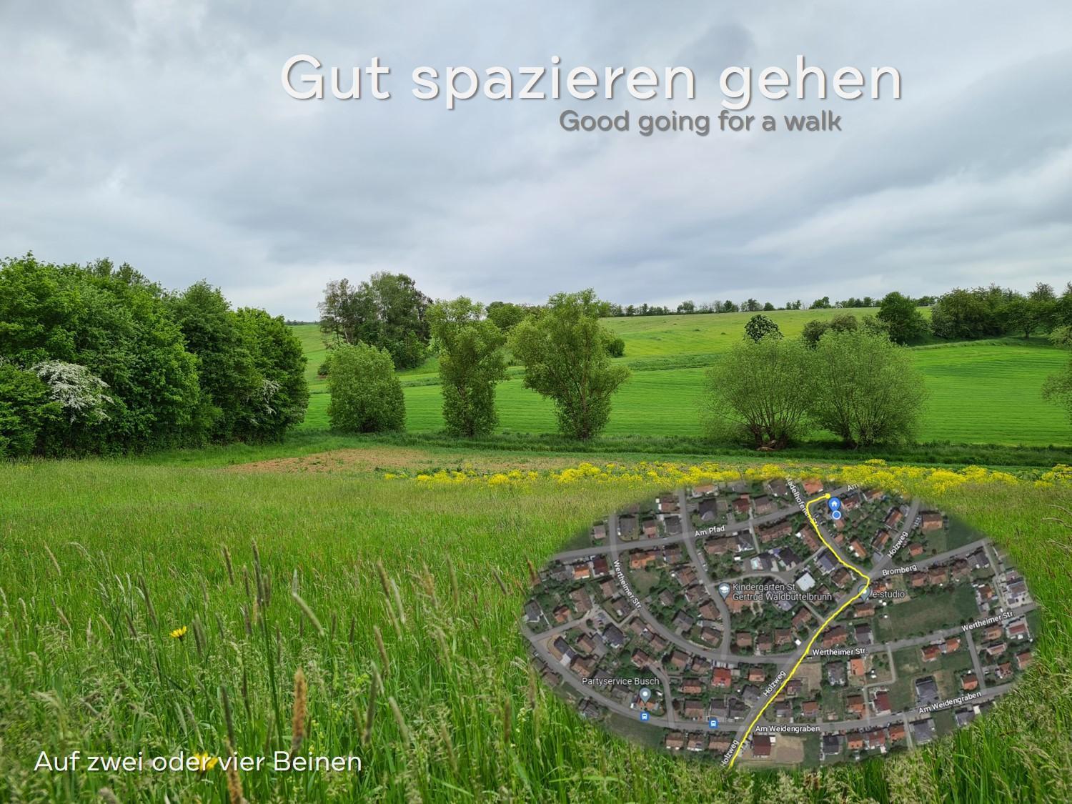 Lichtdurchflutetes Zimmer - Marienberg Waldbuttelbrunn 외부 사진